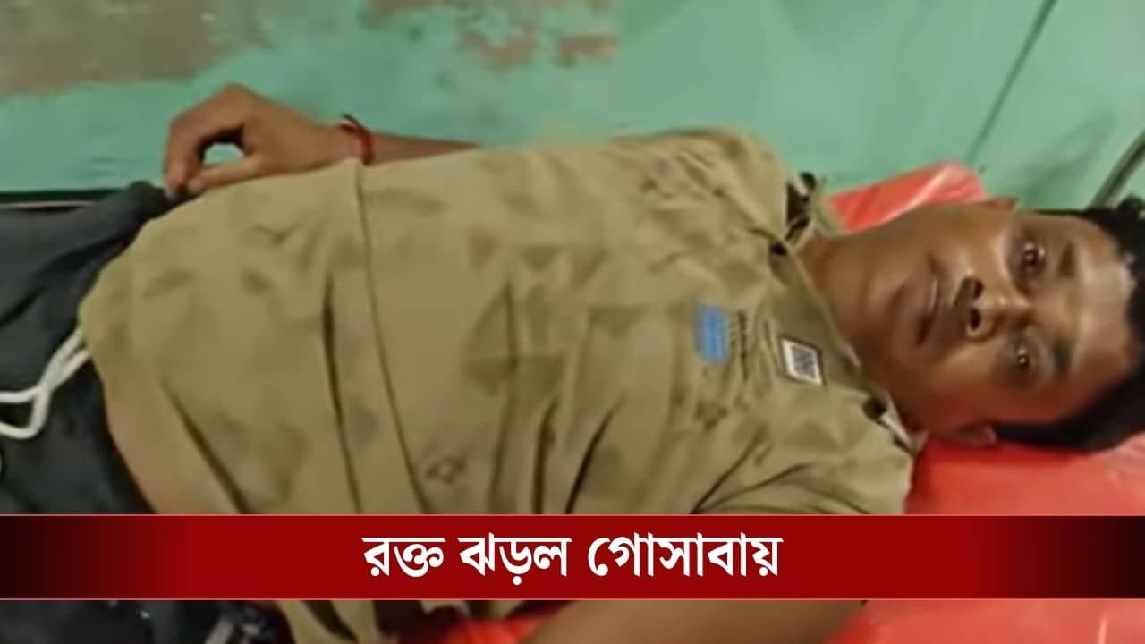 Gosaba Shootout: ভোট আবহে গোসাবায় তৃণমূল কর্মীকে লক্ষ্য করে গুলি, গ্রেফতার ৩ বিজেপি কর্মী