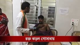জমিতে টেনে-হিঁচড়ে নিয়ে BJP কর্মীদের বেধড়ক 'মারধর', উত্তপ্ত গোসাবা