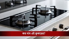 জল থেকেই জ্বলবে আগুন! LPG-র বিকল্প হিসাবে এল হাইড্রোজেন কুকিং স্টোভ