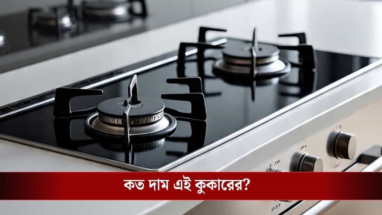 Hydrogen Cooking Stove: জল থেকেই জ্বলবে আগুন! LPG-র বিকল্প হিসাবে এল হাইড্রোজেন কুকিং স্টোভ, দাম কত?