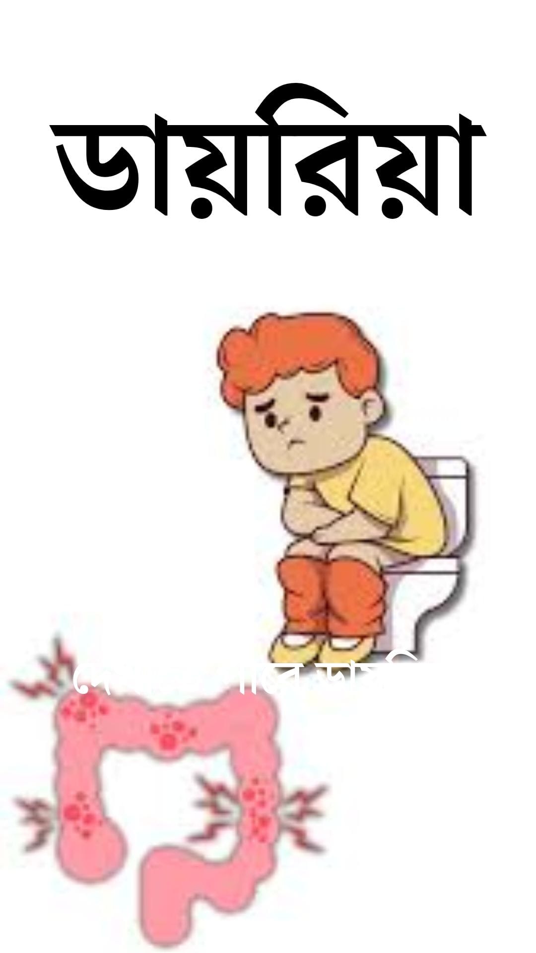 গরমে খেল দেখাতে পারে ডায়রিয়া, কোন ভাইরাসের জেরে ডায়রিয়ার বাড়াবাড়ি হতে পারে?