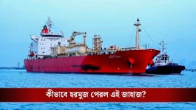 হরমুজ পেরিয়ে এল আরও একটা জাহাজ, কতদিনের জ্বালানি পড়ে আছে ভারতের কাছে?
