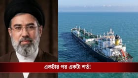 দিনে ১৫টির বেশি জাহাজ যাবে না, হরমুজ দিয়ে যেতে কী কী শর্ত মানতে হবে?