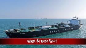 ভারতীয়দের জন্য বিশেষ বার্তা, হরমুজ প্রণালী নিয়ে বড় আপডেট দিল ইরান