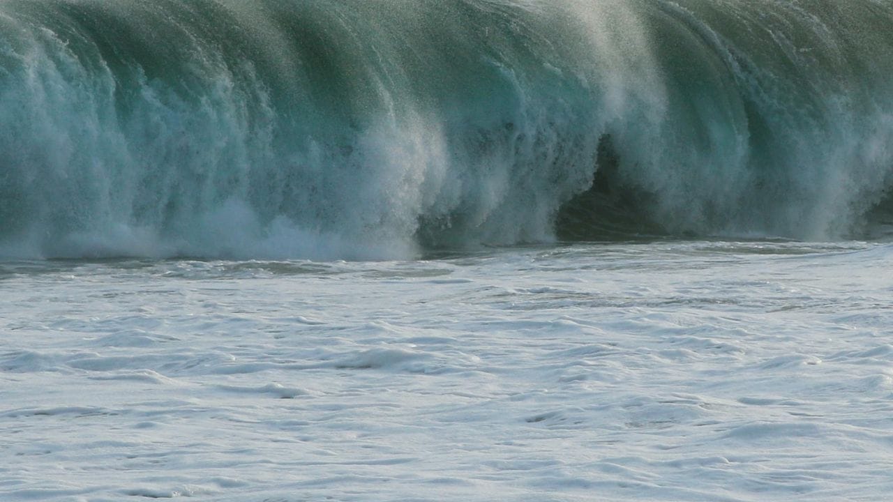 ভূমিকম্পের ৪০ মিনিট পরই সুনামি আছড়ে পড়ে। ইওয়াতে প্রদেশের কুজি বন্দরে আছড়ে পড়ে ঢেউ। তবে ঢেউয়ের উচ্চতা মাপা হয় প্রায় ৮০ সেন্টিমিটার। তবে কোনও ক্ষয়ক্ষতির খবর পাওয়া যায়নি। 