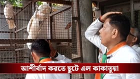 প্রচারে বেরিয়ে কাকাতুয়ার ‘আশীর্বাদ’ পেলেন তৃণমূল প্রার্থী!