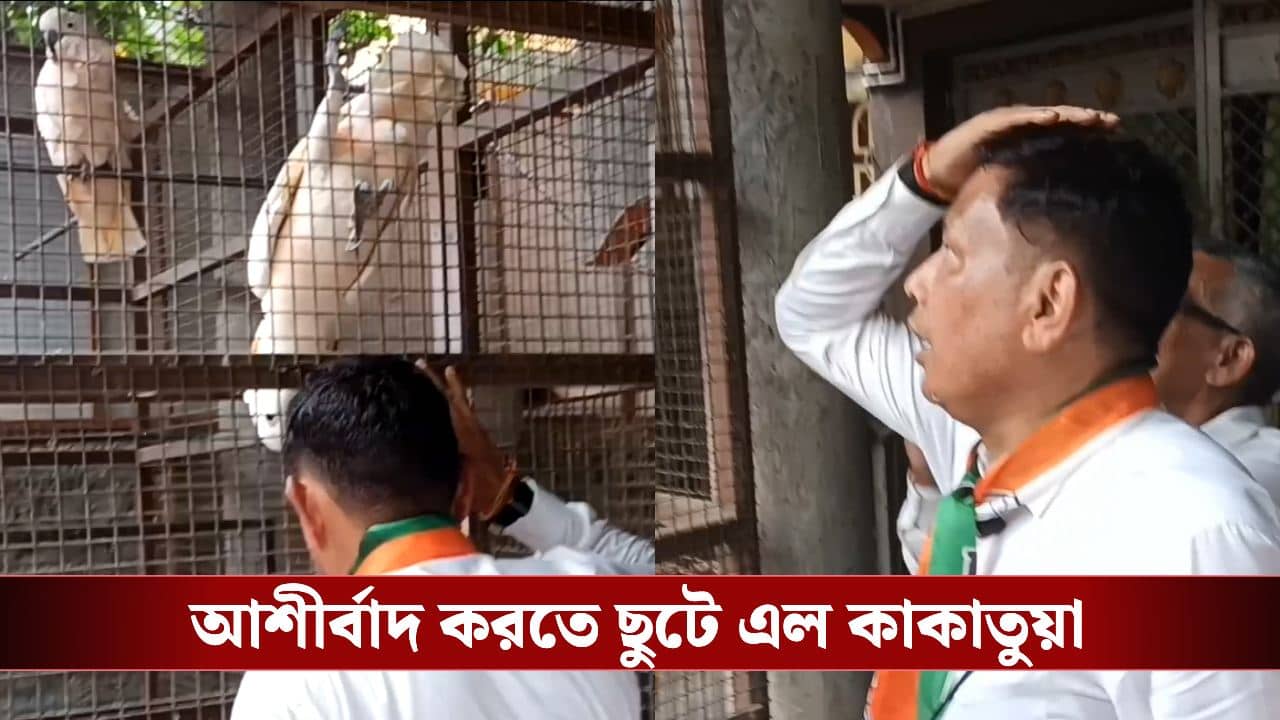 TMC candidate Campaign: চুমুতেই কেল্লাফতে! প্রচারে বেরিয়ে কাকাতুয়ার ‘আশীর্বাদ’ পেলেন তৃণমূল প্রার্থী
