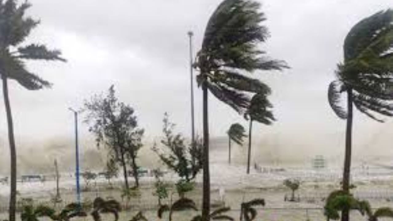 ঝড় শুরু হওয়ার আভাস পেলে খোলা জায়গায় বা গাছের নিচে থাকবেন না। দ্রুত কোনো পাকা দালান বা সুরক্ষিত বাড়ির ভেতরে আশ্রয় নিন।