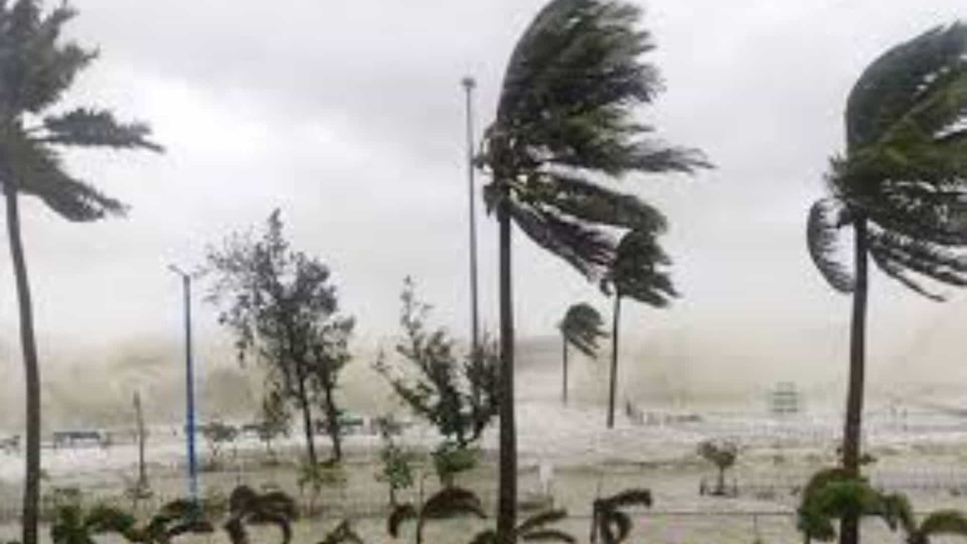 ঝড় শুরু হওয়ার আভাস পেলে খোলা জায়গায় বা গাছের নিচে থাকবেন না। দ্রুত কোনো পাকা দালান বা সুরক্ষিত বাড়ির ভেতরে আশ্রয় নিন।