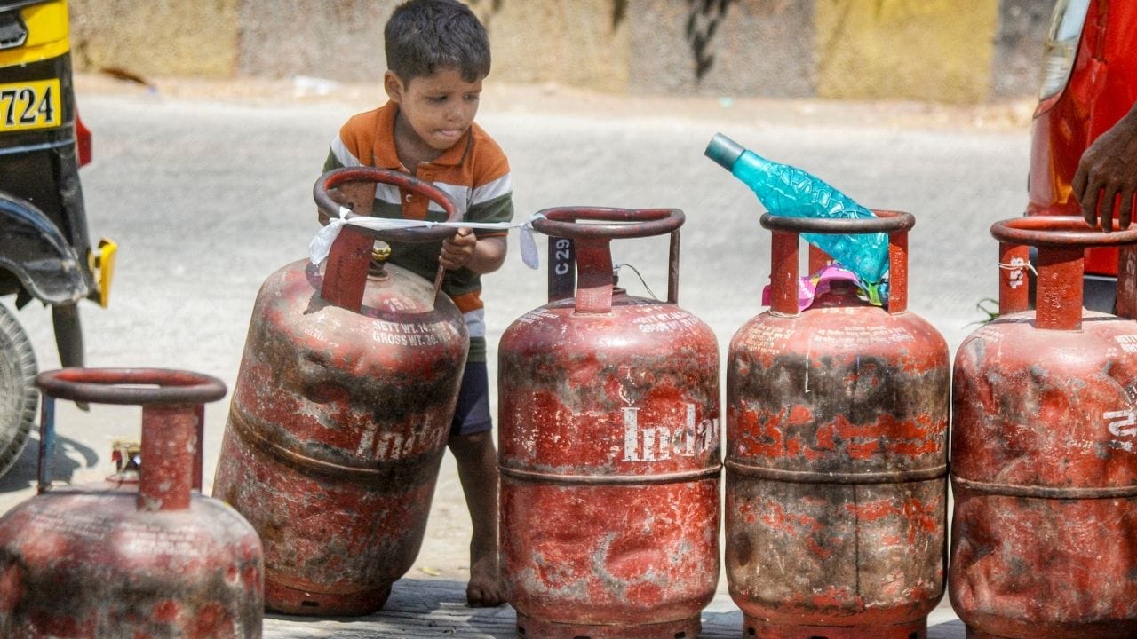 ৫ কেজির এলপিজি সিলিন্ডার কিনতে কোনও ঠিকানার প্রমাণপত্র লাগবে না। বৈধ পরিচয় পত্র দেখিয়েই এই ছোট সিলিন্ডার কেনা যাবে। Image Credit: PTI