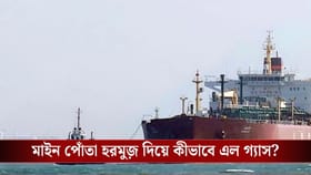 জলের নিচে মাইন, তার মধ্যেই হরমুজ় পার করল ভারতের এলপিজিবাহী জাহাজ!