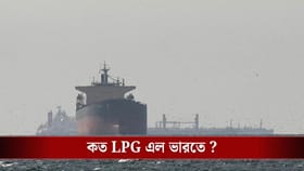 গত একমাসে ৩২৫০০০ মেট্রিক টন LPG এল ভারতে, কত সিলিন্ডার ভরল?