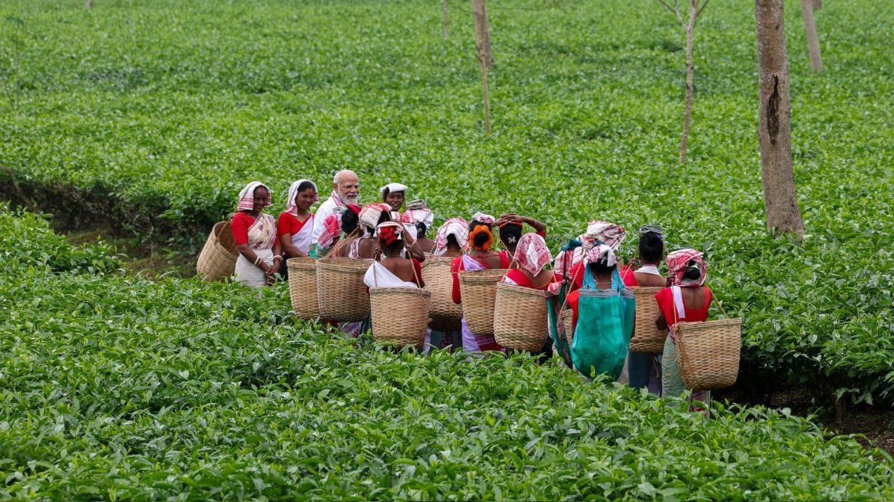 অসমকে বিশ্বের অন্যতম বৃহত্তম চা উৎপাদনকারী অঞ্চল হিসেবে গণ্য করা হয়। ভারতের চা রপ্তানিতে অসমের একটি গুরুত্বপূর্ণ ভূমিকা রয়েছে। এই শিল্পে লক্ষ লক্ষ শ্রমিক নিযুক্ত আছেন; ডিব্রুগড়, তিনসুকিয়া এবং জোরহাটের মতো জেলার চা বাগানগুলিতে নারীদের একটি উল্লেখযোগ্য অংশ কর্মরত।