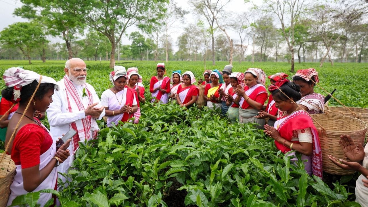 ভোটের অসমে নির্বাচনী প্রচারে গিয়েছেন প্রধানমন্ত্রী নরেন্দ্র মোদী। নির্বাচনী প্রচারের আগে একটি চা বাগান পরিদর্শন করেন তিনি। প্রধানমন্ত্রী নারী শ্রমিকদের সঙ্গে চা পাতা তোলেন। তাঁদের সঙ্গে কথা বলেন। সেলফি তোলেন এবং অসমের চায়ের বিশ্বব্যাপী গুরুত্ব তুলে ধরেন।