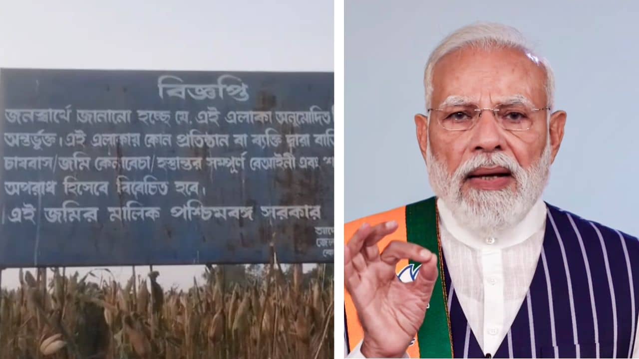 Coochbehar: বোর্ডটাই শুধু লাগানো আছে, ৩০০ একর জমিতে চলছে ভুট্টা চাষ, ইন্ডাস্ট্রিয়াল পার্ক শুধুই স্বপ্ন?