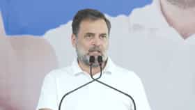 মোদী আমার সঙ্গে চোখে চোখ রেখে কথা বলতে পারেন না: রাহুল