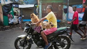 রাস্তায় বাইক নিয়ে বেরনোর আগে জেনে নিন, বাংলার ভোটে বেনজির নির্দেশিকা