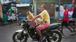 Bike Ban in Bengal: রাস্তায় বাইক নিয়ে বেরনোর আগে জেনে নিন, বাংলার ভোটে বেনজির নির্দেশিকা