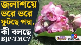 ভোটের মুখে তুঙ্গে চাহিদা পদ্মের, তাও দাম নেই?