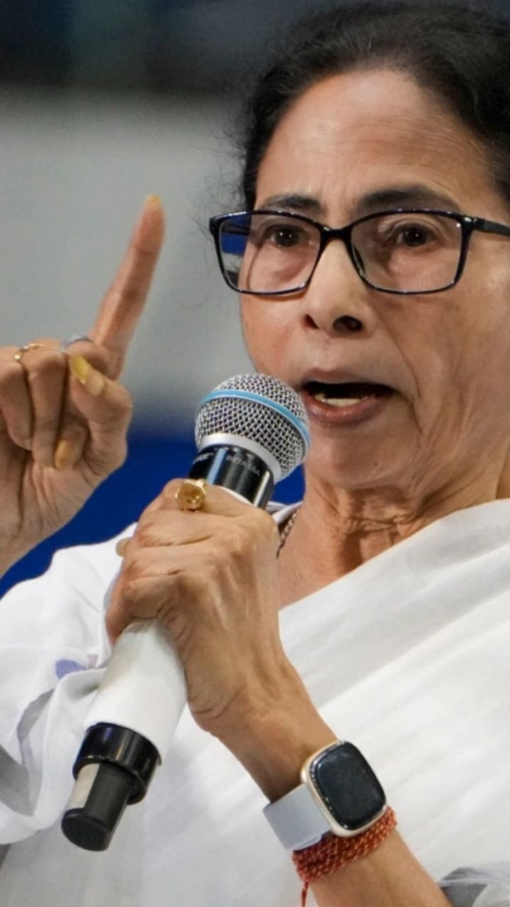 ৫০০ টাকা দিয়ে মিছিলে লোক ভাড়া করছে বিজেপি: মমতা