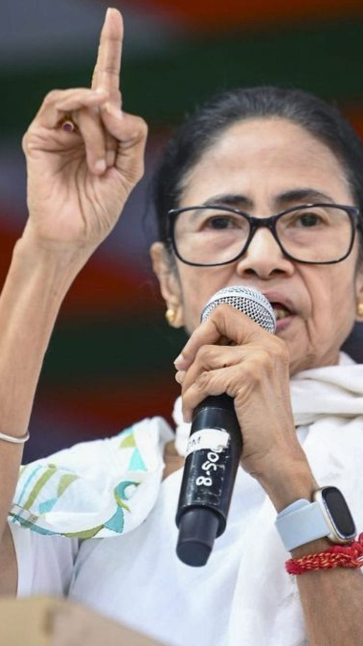 আমাকে ধমকালে আমি চমকাই, আমাকে চমকালে আমি গর্জাই...: মমতা