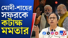 'বন্যা হলে আসেন না, ভোট এলে শালিখ পাখির মতো...' কাকে বললেন মমতা?