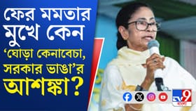 ২০০-র কমে আসন পেলে কী হবে? ভোটের আগে জল্পনা বাড়ালেন মমতা