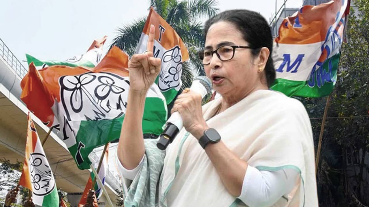 Mamata Banerjee on election result: ভোটের ফল কী হবে? কেন্দ্রীয় বাহিনীকে নিশানা করে জানিয়ে দিলেন মমতা