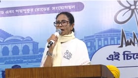 'ওড়িশা থেকে ৩০০ কোটি টাকা ঢুকছে', ভবানীপুরে প্রচারে বিস্ফোরক মমতা
