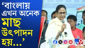 মোদীর 'মৎস্যবাণ', পাল্টা তোপ মমতার