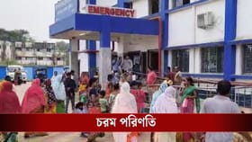 বৃষ্টি থেকে বাঁচতে গাছ তলায় আশ্রয়, মুর্শিদাবাদে বাজ পড়ে মৃত্যু ২ জনের