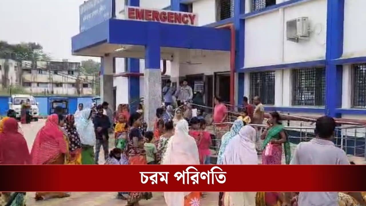 Murshidabad News: বৃষ্টি থেকে বাঁচতে গাছ তলায় আশ্রয়, মুর্শিদাবাদে বাজ পড়ে মৃত্যু ২ জনের