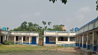 Primary School In Nadia: স্কুলের মধ্যে রক্তাক্ত ছাত্র! আগেই ছুটি দিয়ে বাড়ি গেলেন প্রধান শিক্ষক! বিতর্ক