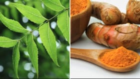 হলুদ নাকি নিম, সুস্থ থাকতে সকালে কোনটি খাবেন?