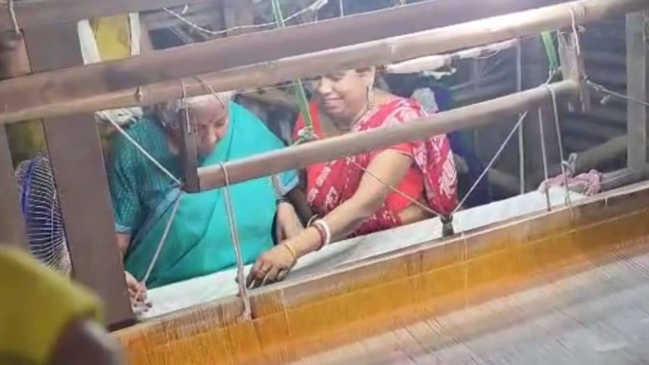 Nirmala sitharaman in Bengal: কালনায় এলেন নির্মলা, তাঁতিদের থেকে শিখলেন নিজের হাতে তাঁত বোনা