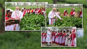 অসমের চা বাগানে প্রধানমন্ত্রী, পাতা তুললেন; মোদীর সঙ্গে সেলফি কর্মীদের