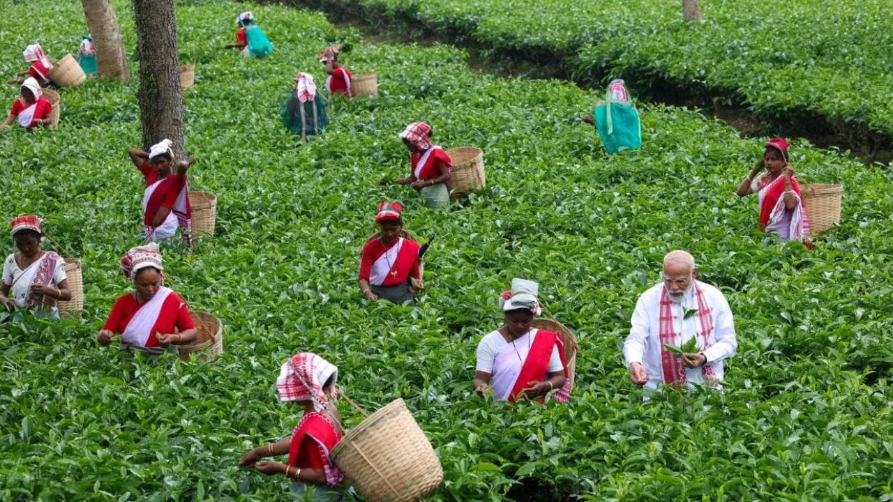 এই সফরকে একটি “স্মরণীয় অভিজ্ঞতা” হিসেবে বর্ণনা করে প্রধানমন্ত্রী মোদী শ্রমিকদের সঙ্গে মতবিনিময় করেন। তিনি এই শিল্পে তাঁদের অবদানেরও প্রশংসা করেন।