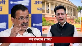 সিঙাড়া নিয়ে কথা বলেছে! রাঘবের 'হার না মানা' পোস্টের পরই আক্রমণ AAP-র