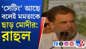 BJP-র বিরুদ্ধে সরাসরি লড়েন না মমতা: রাহুল