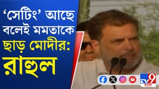 BJP-র বিরুদ্ধে সরাসরি লড়েন না মমতা: রাহুল