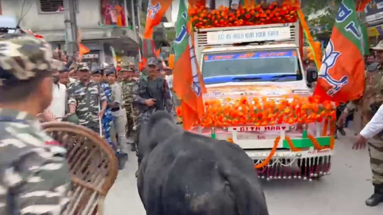 Mithun Chakraborty Roadshow Bull Incident: মিঠুনের রোড-শোয়ে ষাঁড়ের তাণ্ডব! বানারহাটে রুদ্ধশ্বাস পরিস্থিতি, মাঠে নামল কেন্দ্রীয় বাহিনী Mithun Chakraborty Roadshow Bull Incident: মিঠুনের রোড-শোয়ে ষাঁড়ের তাণ্ডব! বানারহাটে রুদ্ধশ্বাস পরিস্থিতি, মাঠে নামল কেন্দ্রীয় বাহিনী