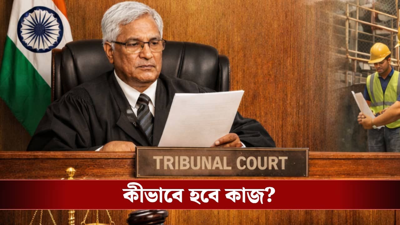 SIR in  Bengal: পুরোদমে শুরু ট্রাইব্যুনালের পরিকাঠামো তৈরির কাজ, হয়ে গেল সমন্বয় বৈঠক