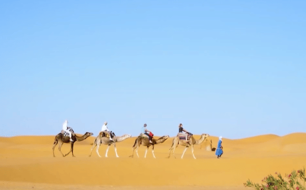 আফ্রিকায় খুঁটি শক্ত করার স্বপ্ন নিয়ে এগোতে গিয়ে এখন দুঃস্বপ্ন দেখছেন পুতিন!