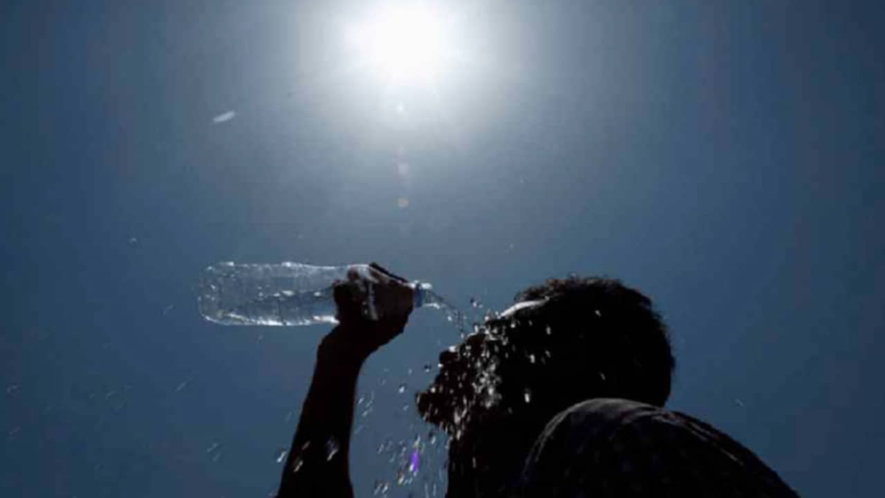 Summer Health Tips: গরমে সুস্থ থাকতে মেনে চলুন চিকিৎসকদের এই ‘সামার টিপস’