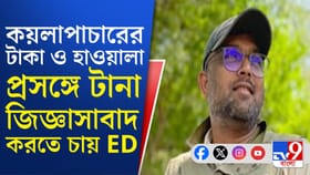 ভিনেশ ১০ দিনের ইডি হেফাজতে, কী কী তথ্য দিলেন ইডিকে?