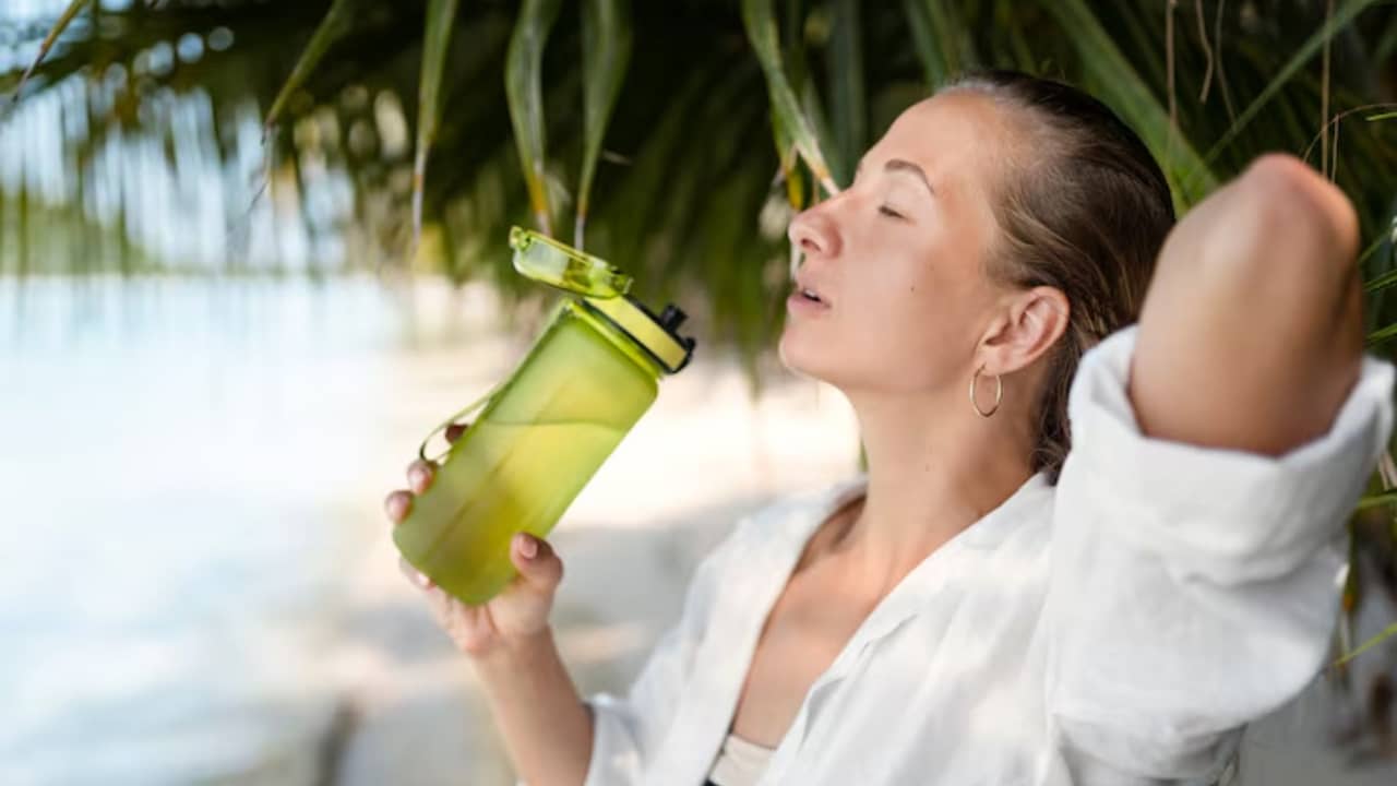 Summer Health Tips: তীব্র গরমের আগেই নিন প্রস্তুতি, নিজেকে সুস্থ রাখার ৩টি মোক্ষম দাওয়াই