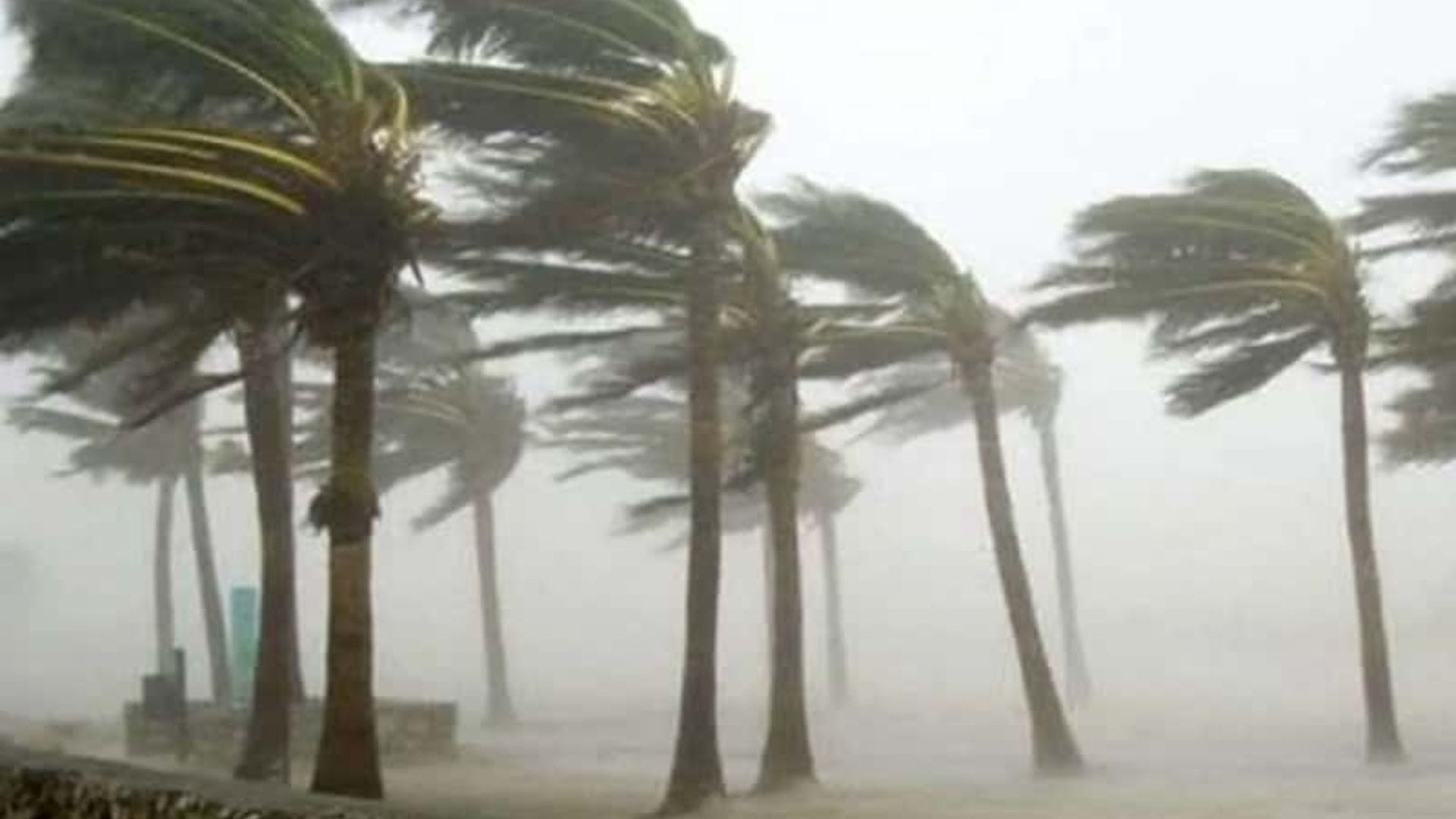  ঝড়ের তীব্রতায় জানলার কাঁচ ভেঙে দুর্ঘটনা ঘটতে পারে। তাই জানলা-দরজা ভালো করে আটকে দিন এবং জানলার খুব কাছে বসবেন না।