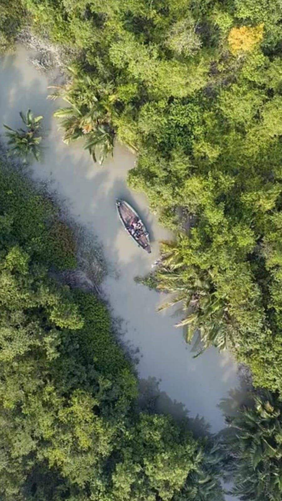 পরিবর্তন না প্রত্যাবর্তন, কী চাইছে সুন্দরবনের মানুষ, দেখুন
