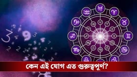 মে মাসেই কপাল খুলছে ৪ রাশির, ঘরে আসবে দু'হাত ভরে টাকা!