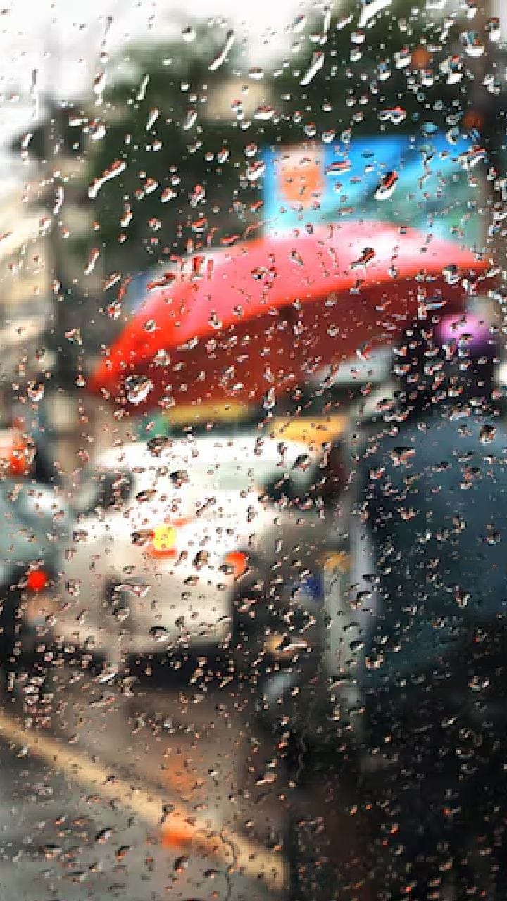 অস্বস্তিকর গরম থেকে মুক্তি! শনিবার থেকেই রাজ্যে কালবৈশাখীর পূর্বাভাস